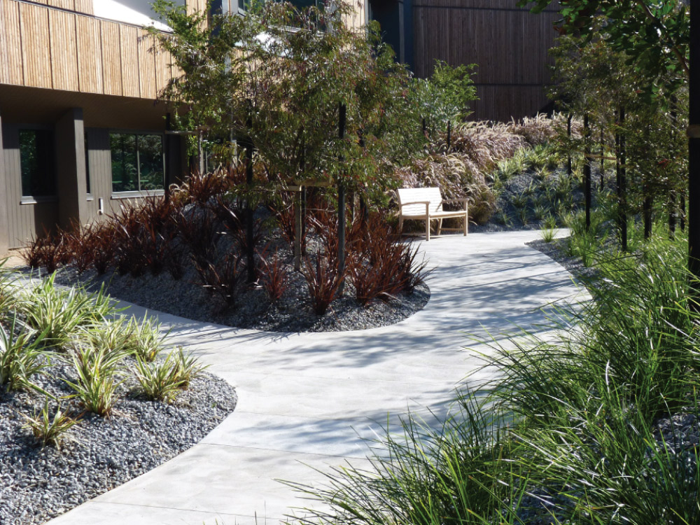 A paved pathway with trees and plants on either side