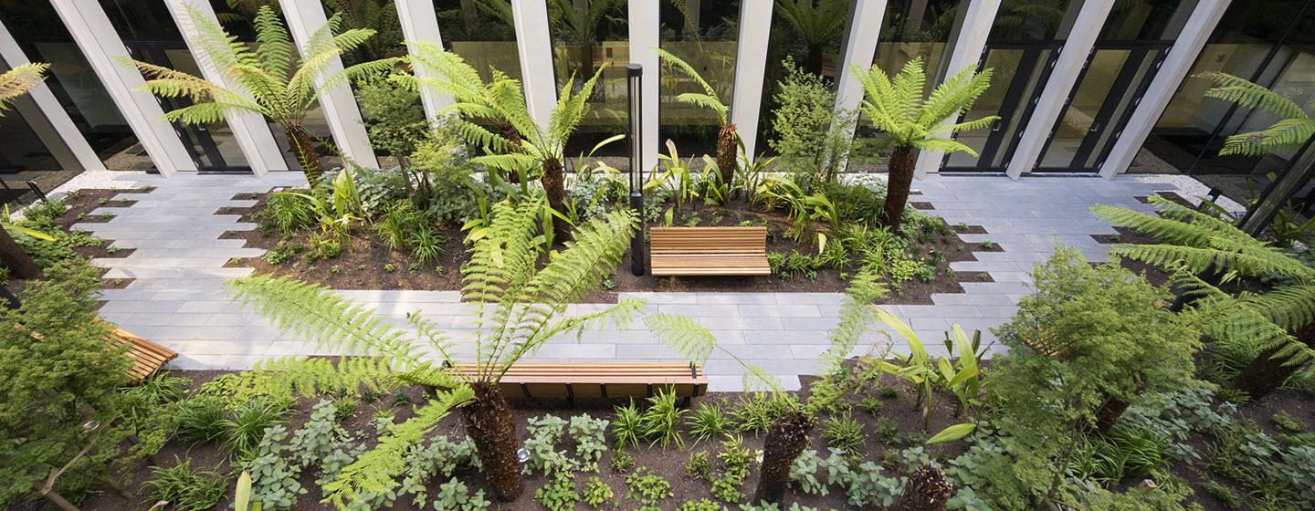 Internal courtyard at Bendigo Hospital. Designed by Bates Smart.