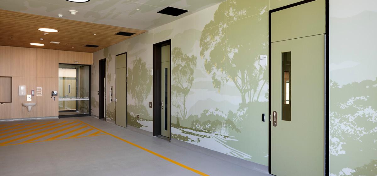 Silhouettes of trees and greenery printed on the interior walls and ceiling of the McKellar Mental Health and Wellbeing Unit