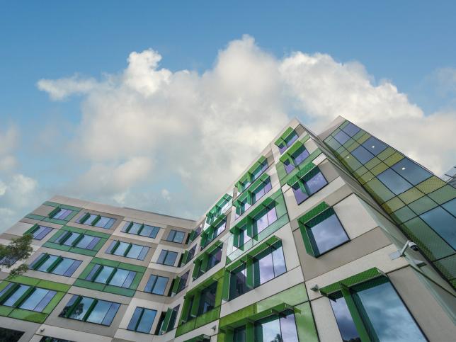 Upward view of exterior of Royal Children's Hospital. Highlighting a green and purple building.