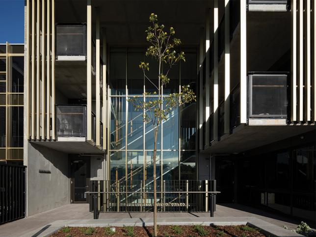 A glass external staircase behind a young tree at St Georges' Hospital aged care facility.