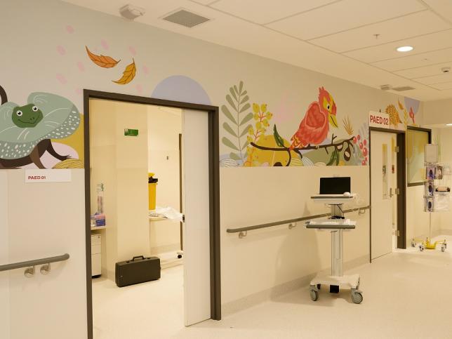 Walls that are painted with animals in the hallway of the child-friendly area of the Shepparton Hospital 