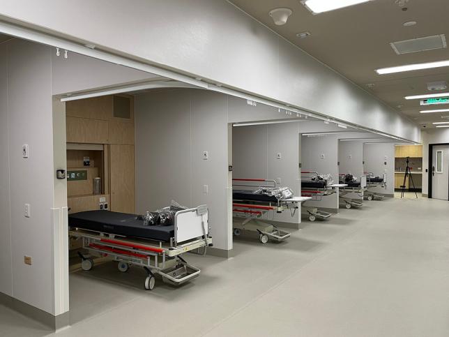 The six beds at the emergency department, mental health and other drugs at the Royal Melbourne Hospital.