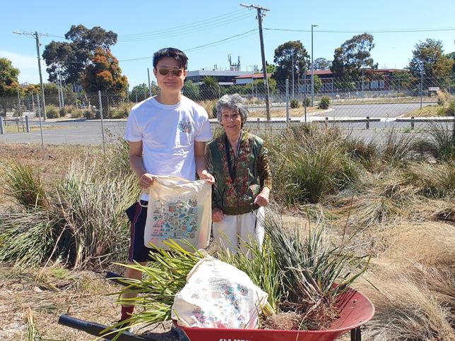 Community members gardening at site of New Footscray Hospital