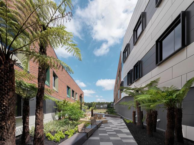 A walkway surrounded by ferns and other plants in the courtyard area of Latrobe Regional Hospital