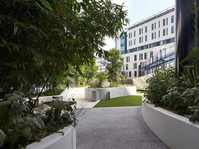 Plants in the courtyard of the Victorian Comprehensive Cancer Centre