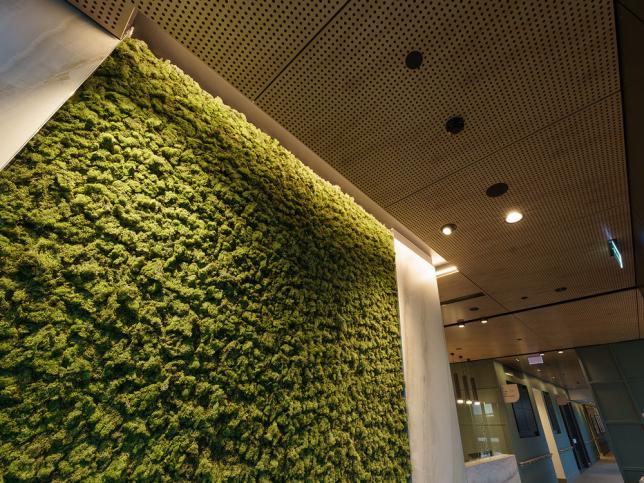 A green wall inside the Wantirna residential aged care facility