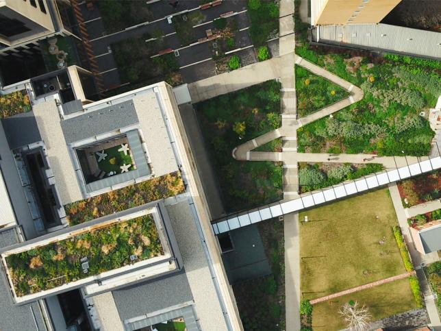 Aerial image of some of the 46 courtyards and terraces within Bendigo Hospital