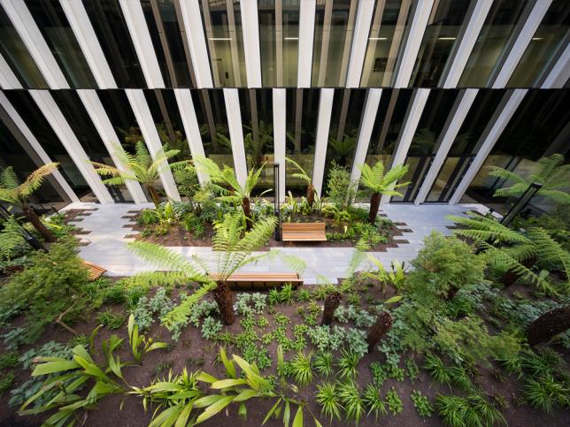 Native gardens within Bendigo Hospital