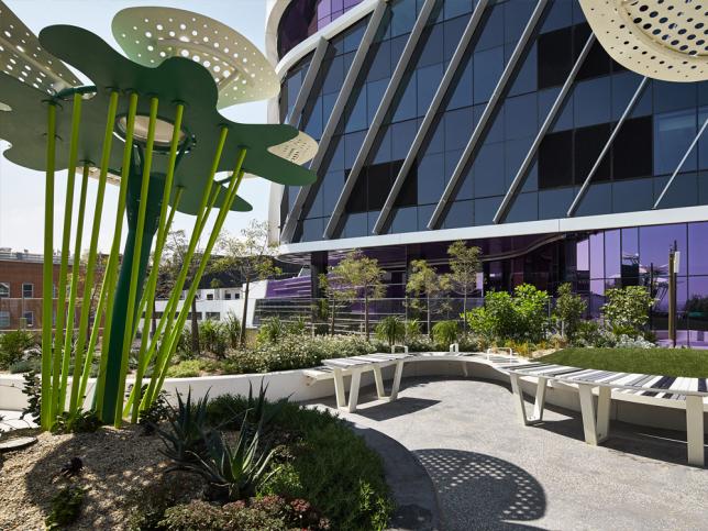 Benches and plants in the courtyard garden of the Victorian Comprehensive Cancer Centre