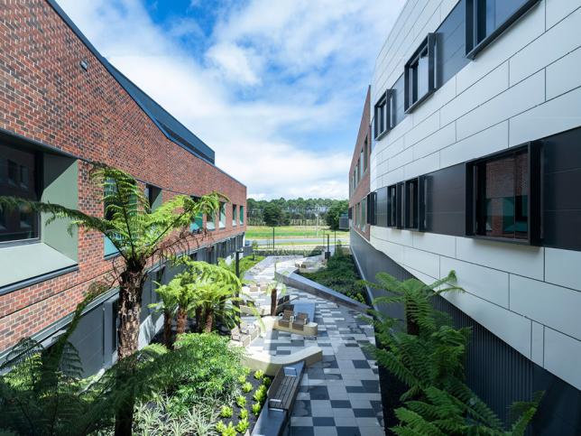 Aerial view of a courtyard surrounded by ferns and plants, nestled between two buildings