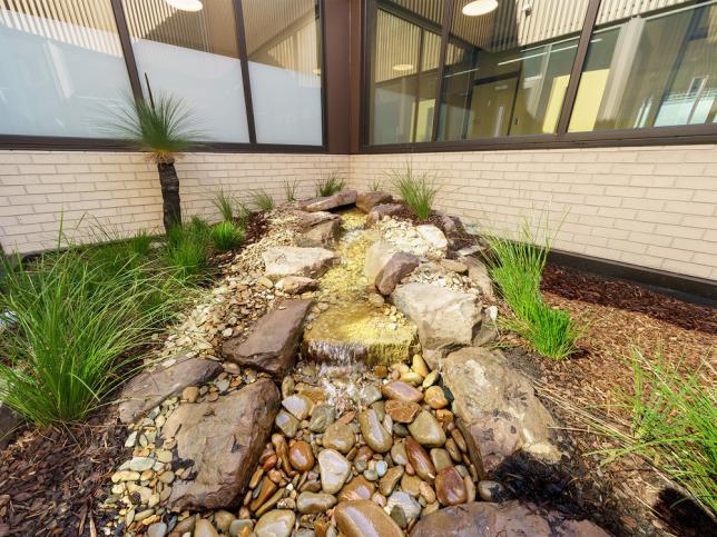 A water feature made of stones and pebbles, surrounded by greenery, with walls and windows visible in the background