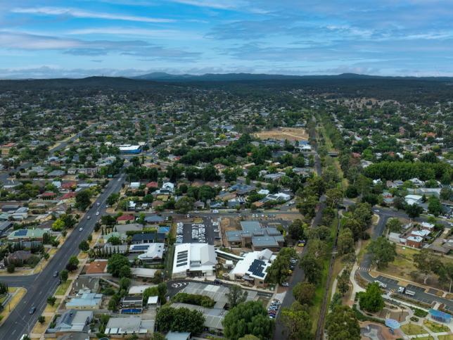 Aerial view of green trees and suburbia