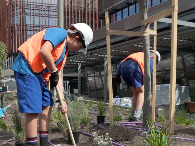 Two children wearing hi-vis vests and hard hats, digging holes in a planting bed with shovels