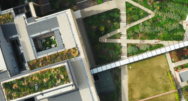 An aerial view of the Bendigo Hospital