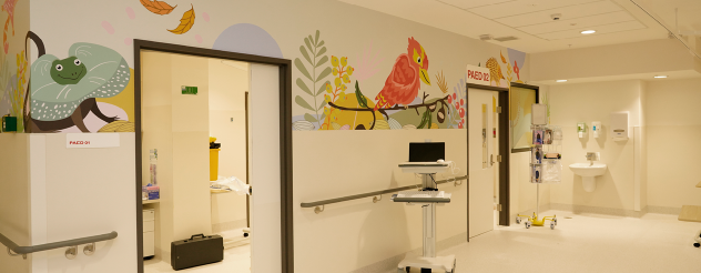 Photo of Child-friendly artwork and décor in the Shepparton Hospital emergency department